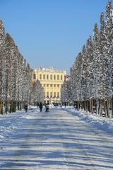 Winter view of Schlosspark Schönbrunn with snow-covered trees and palace in the background