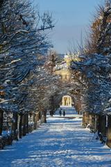 Winter view of Schlosspark Schönbrunn with snow-covered trees and pathways in 2023