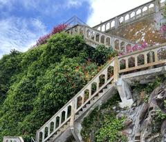 Stone exterior staircase on Alcatraz Island surrounded by rocky hills and greenery