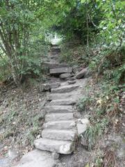 Stairs of the Himmelsleiter leading up to the Königstuhl in Heidelberg