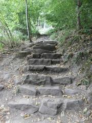 Stone staircase steps of the Himmelsleiter leading up to Königstuhl hill in Heidelberg