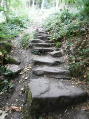 Stone steps of the Himmelsleiter staircase leading up to Königstuhl in Heidelberg