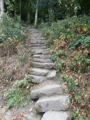 Stone steps of the Himmelsleiter leading up to Königstuhl in Heidelberg