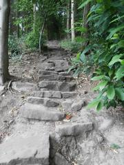 Stairs of Himmelsleiter leading to Königstuhl in Heidelberg