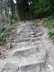 Stairs of the Himmelsleiter leading up to Königstuhl in Heidelberg