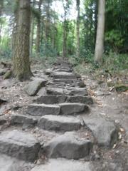 Stairs of the Himmelsleiter trail leading up to Königstuhl mountain in Heidelberg