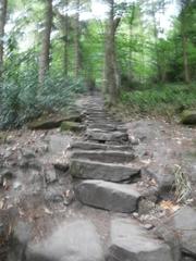 Stone steps of the Himmelsleiter stairway leading up to Königstuhl in Heidelberg