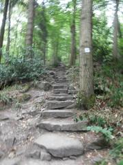 Stone steps of the Himmelsleiter staircase leading up to the Königstuhl in Heidelberg