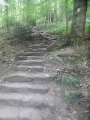 Stone steps of the Himmelsleiter leading up to Königstuhl in Heidelberg