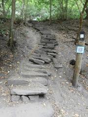 Stone steps of the Himmelsleiter pathway ascending to Königstuhl in Heidelberg