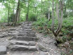Stone steps of the Himmelsleiter path leading up to Königstuhl in Heidelberg