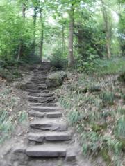 Stone steps of Himmelsleiter leading up to Königstuhl hill in Heidelberg