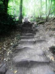 Stone steps of the Himmelsleiter stairway leading up to Königstuhl hill in Heidelberg, surrounded by greenery