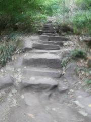 Stone steps of the Himmelsleiter leading up to Königstuhl in Heidelberg surrounded by greenery