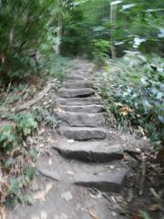 Stone steps of the Himmelsleiter leading up to Königstuhl in Heidelberg