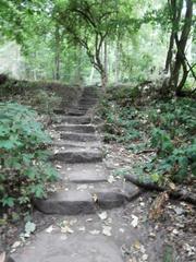 Steps of the Himmelsleiter staircase leading to Königstuhl in Heidelberg