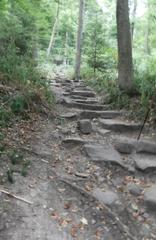 Stone steps of the Himmelsleiter stairway leading up to Königstuhl hill in Heidelberg