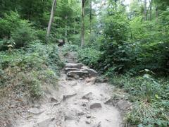 Stone steps of the Himmelsleiter stairway leading up to Königstuhl in Heidelberg surrounded by greenery