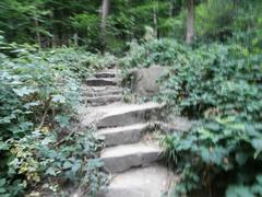 Stone steps of the Himmelsleiter leading up to Königstuhl hill in Heidelberg