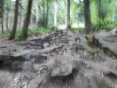 Stone steps of Himmelsleiter leading up to Königstuhl hill in Heidelberg surrounded by green foliage