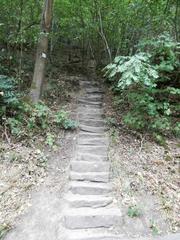 Stone steps of Himmelsleiter leading up to Königstuhl in Heidelberg