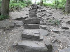 Stone steps of the Himmelsleiter stairway leading up to Königstuhl hill in Heidelberg