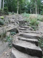Stone steps of the Himmelsleiter staircase leading up to Königstuhl in Heidelberg