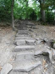 Stone stairs of the Himmelsleiter leading up to Königstuhl in Heidelberg