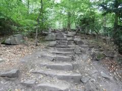 Stone steps of Himmelsleiter leading up to Königstuhl hill in Heidelberg