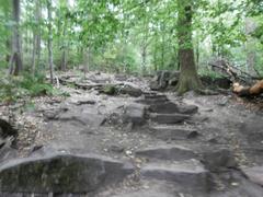 Stone steps of the Himmelsleiter staircase leading up to Königstuhl in Heidelberg