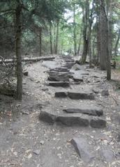 Stone steps of the Himmelsleiter staircase leading up to Königstuhl Hill in Heidelberg