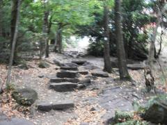 Stone steps of the Himmelsleiter trail leading up to the Königstuhl mountain in Heidelberg