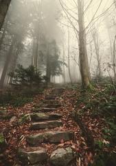 Stone staircase Himmelsleiter leading up Königstuhl hill through Heidelberg forest