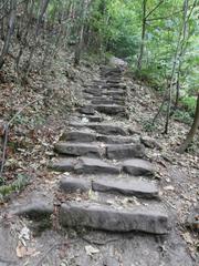 Stone steps of the Himmelsleiter leading up to Königstuhl in Heidelberg