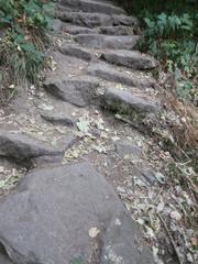 Stone steps of the Himmelsleiter trail leading up to Königstuhl mountain surrounded by lush greenery