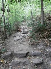 Stairway steps of the Himmelsleiter leading up to Königstuhl in Heidelberg
