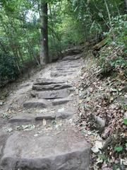 Stairway of Himmelsleiter leading up to Königstuhl in Heidelberg surrounded by trees