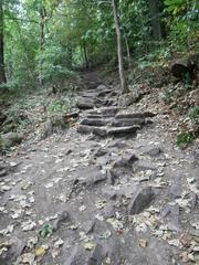 Stone steps of the Himmelsleiter staircase leading up to the Königstuhl hill in Heidelberg