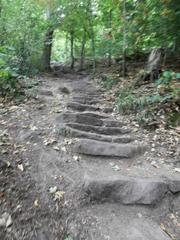 Stairs of the Himmelsleiter leading up to the Königstuhl in Heidelberg