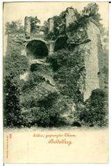 Historic Heidelberg Castle with destroyed tower in 1898