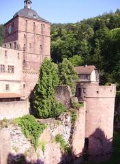 Heidelberg castle gate and Seltenleer building