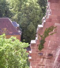 View into the Rondell of Heidelberg Castle
