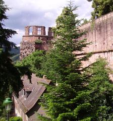 Heidelberg Castle ruins atop a hill with cloudy sky