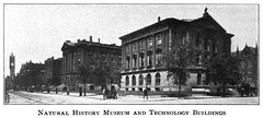 New England Museum Of Natural History