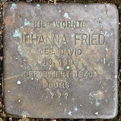 Stolperstein Dedicated To Johanna Fried