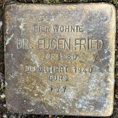 Stolperstein Dedicated To Dr. Eugen Fried