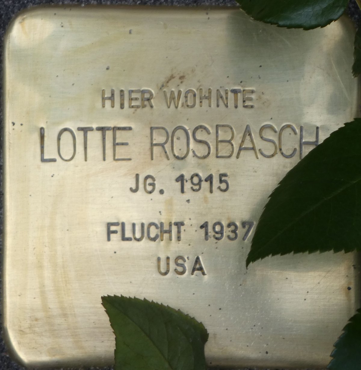 Stolperstein memorial stone dedicated to Lotte Rosbasch in Baden-Baden Germany