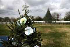 Massachusetts state Christmas tree with student-made ornaments at 2020 National Christmas Tree Lighting, White House and National Christmas Tree illuminated in background