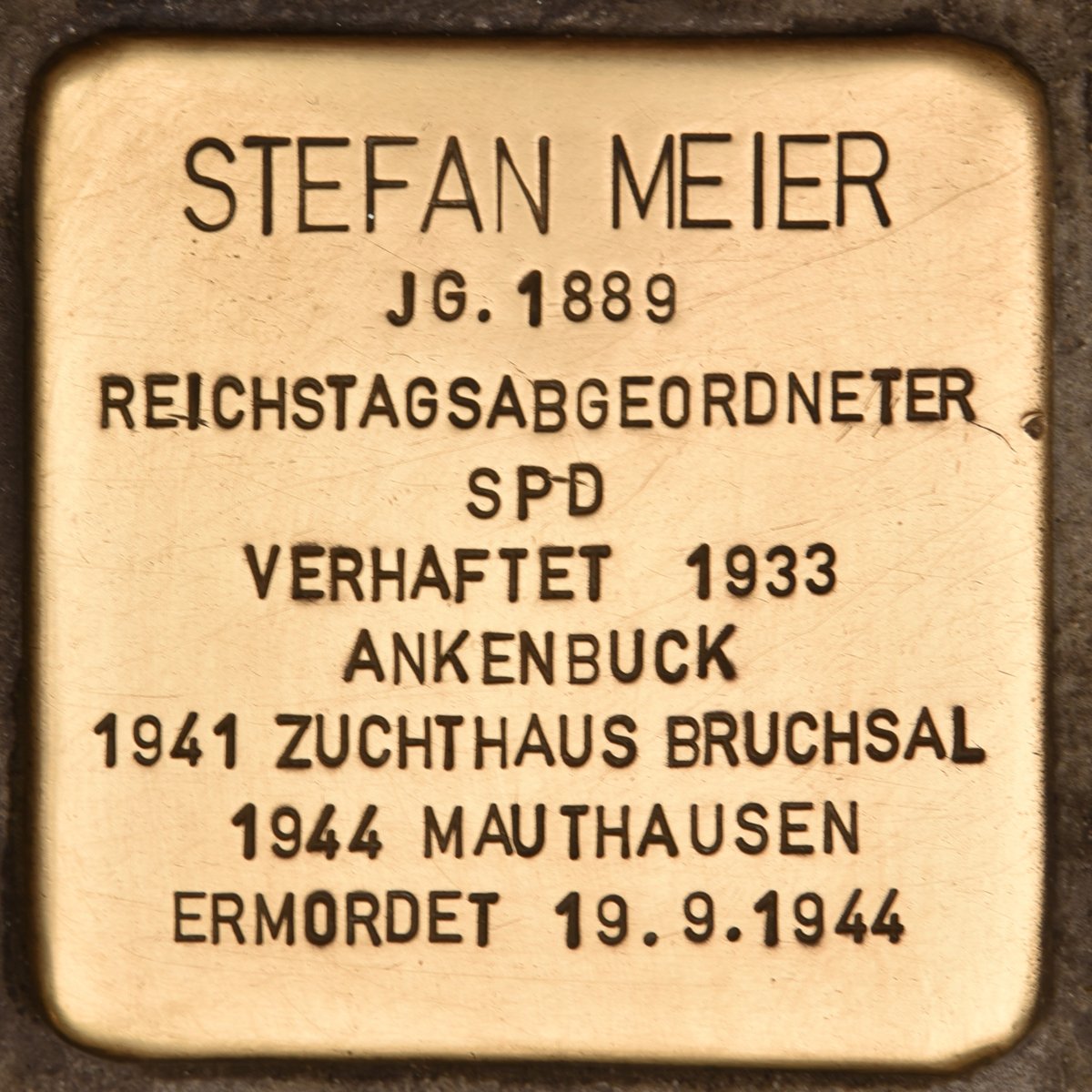 Stolperstein dedicated to Stefan Meier in Freiburg im Breisgau, Germany