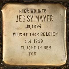 Stolperstein Dedicated To Jessy Mayer